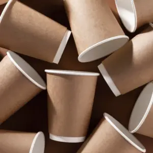 Disposable Paper Glasses