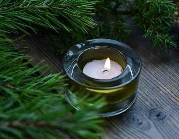 Pine Scented Wax Candles